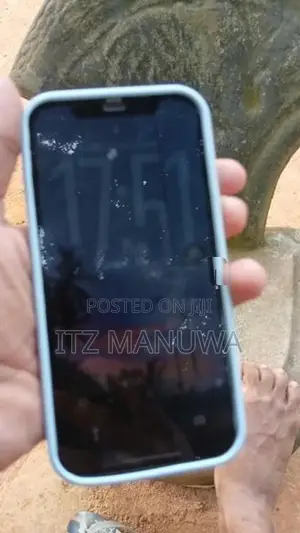 Apple iPhone 12 (Used)