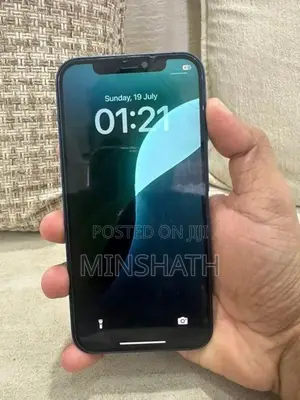Apple iPhone 12 256GB (Used)