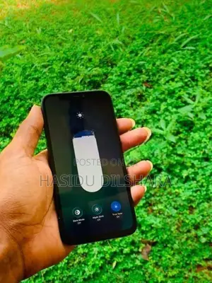 Apple iPhone 12 (Used)