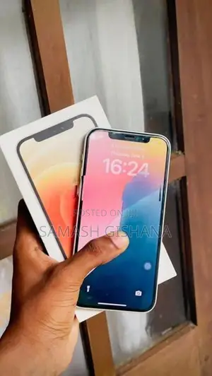 Apple iPhone 12 (Used)