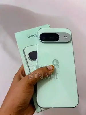 Google Pixel 9 (Used)