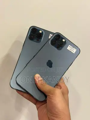 Apple iPhone 12 Pro Max 256GB (Used)