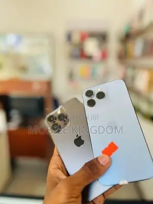 Apple iPhone 13 Pro 256GB Fullset Box (Used)