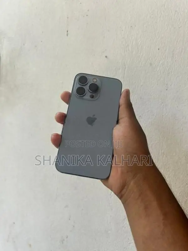 Apple iPhone 13 Pro 256GB (Used)