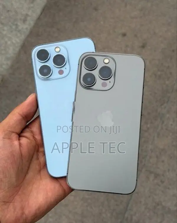 Apple iPhone 13 Pro 256GB (Used)