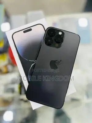 Apple iPhone 14 Pro Max 256GB (Used)