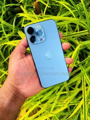 Apple iPhone 13 Pro 256GB (Used)