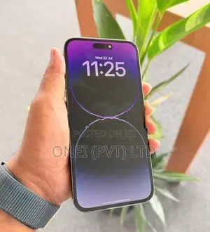 Apple iPhone 14 Pro Max 256GB (Used)