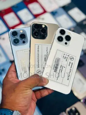 Apple iPhone 13 Pro 256GB (Used)