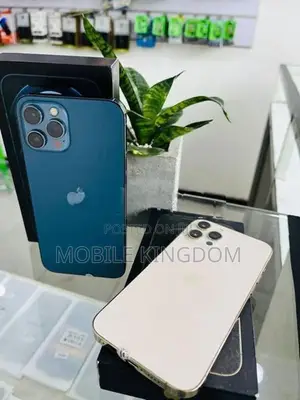 Apple iPhone 12 Pro Max 256GB Fullset Box (Used)