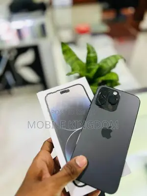 Apple iPhone 14 Pro Max 256GB (Used)