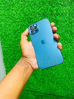 Apple iPhone 12 Pro Max 256GB (Used)