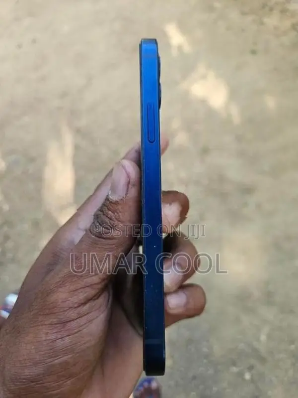 Apple iPhone 12 (Used)
