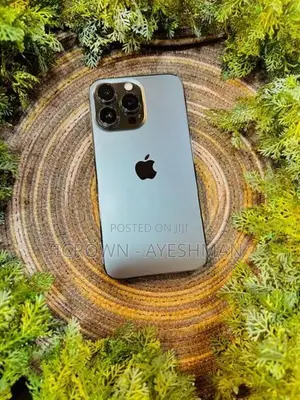 Apple iPhone 13 Pro 256GB (Used)