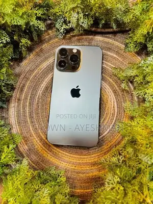 Apple iPhone 13 Pro 256GB (Used)