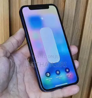 Apple iPhone 12 mini (Used)