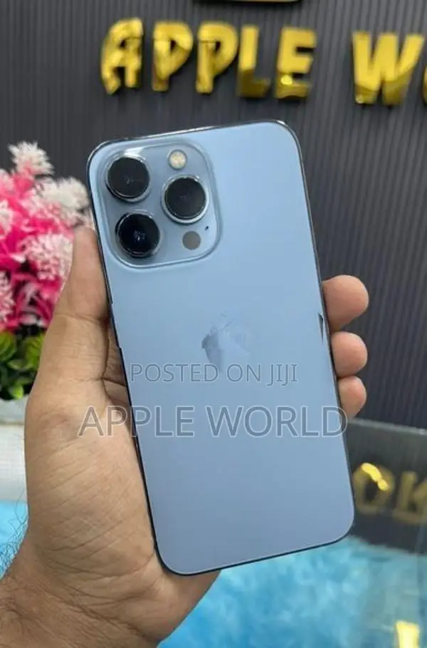 Apple iPhone 13 Pro 256GB (Used)