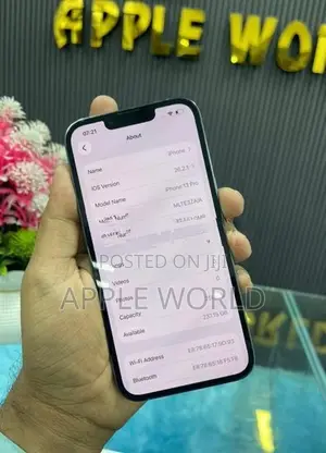 Apple iPhone 13 Pro 256GB (Used)