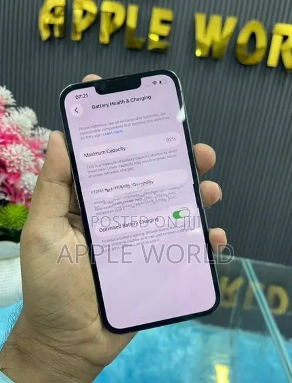 Apple iPhone 13 Pro 256GB (Used)