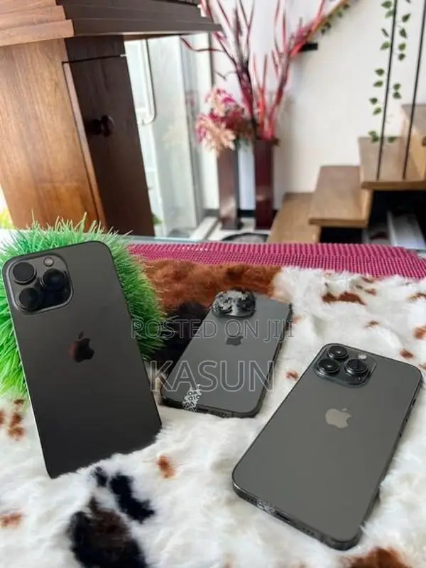 Apple iPhone 14 Pro Max 256GB (Used)