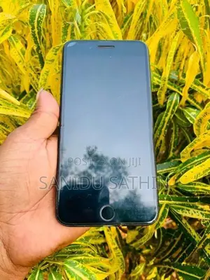 Apple iPhone 7 Plus 256GB (Used)
