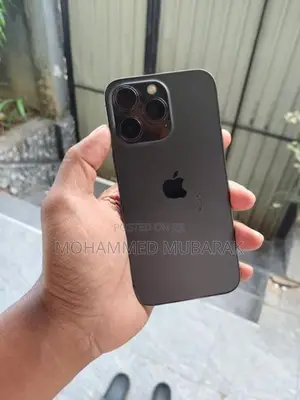 Apple iPhone 13 Pro 256gb (Used)