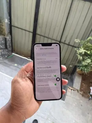 Apple iPhone 13 Pro 256gb (Used)