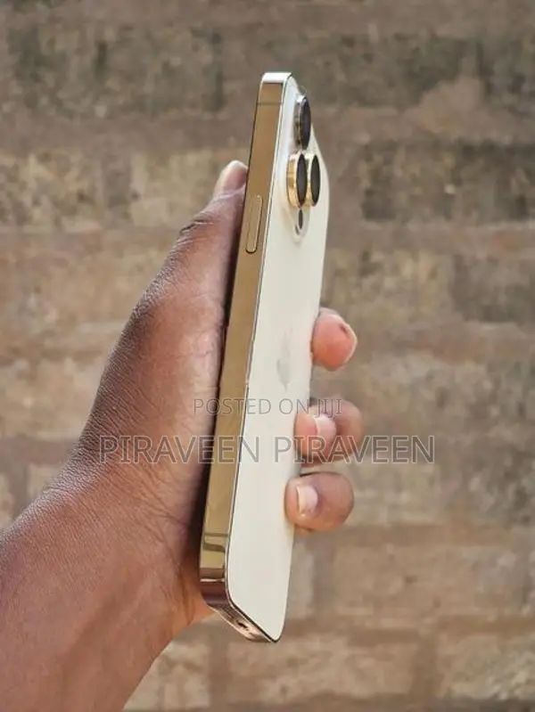 Apple iPhone 14 Pro Max (Used)
