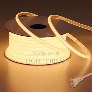 LED Strip Light Neon