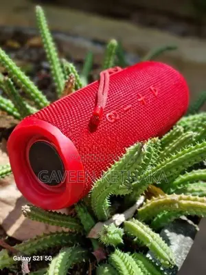 JBL Flip 6 Speaker
