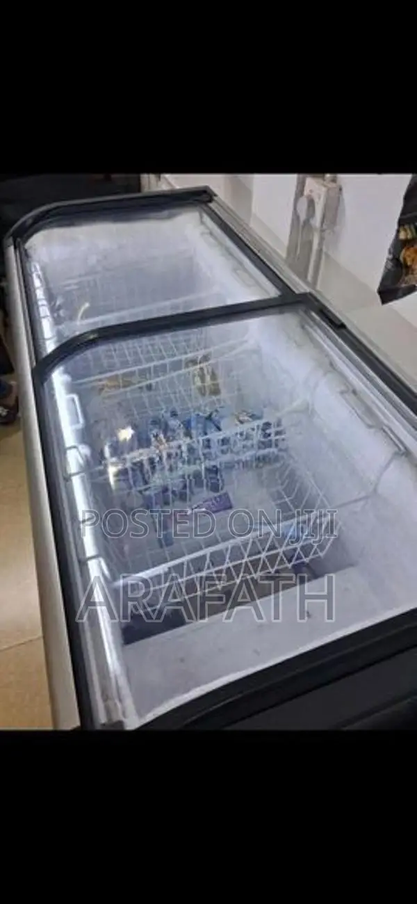 Singer Freezer