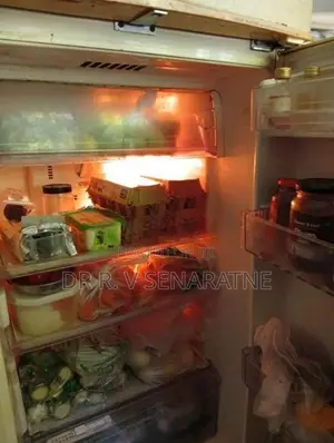 LG Double Door Fridge