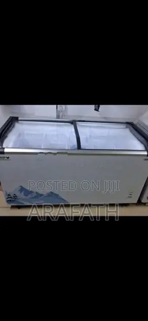 Singer Freezer