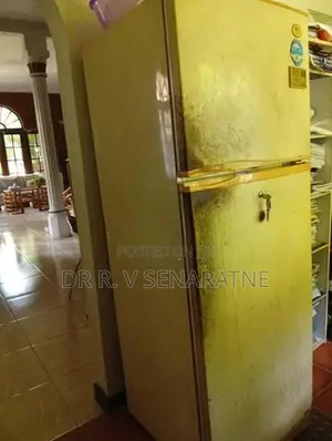 LG Double Door Fridge