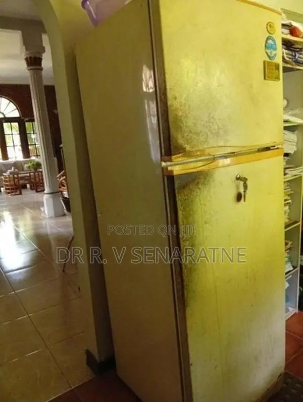 LG Double Door Fridge