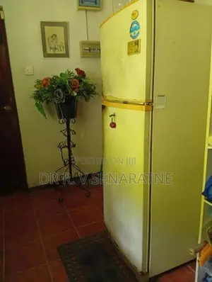 LG Double Door Fridge