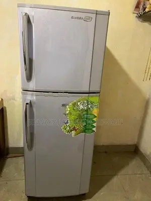 Singer GEO-260NF Refrigerator