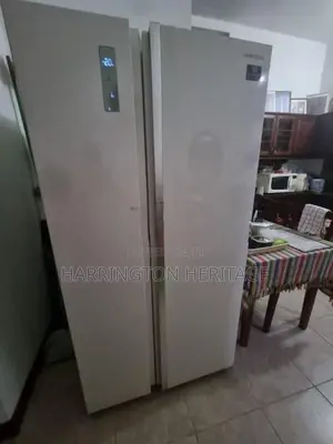 Double door side by refrigerator