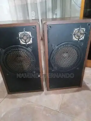pioneer Buffels