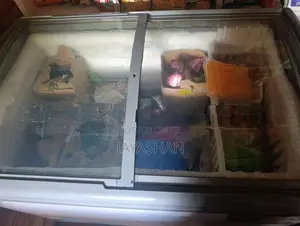 Singer 3 in 1 Multi - Mode Freezer 265L