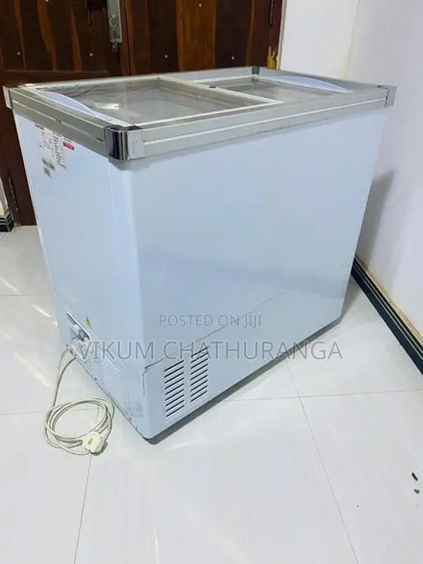 Singer Deep Freezer