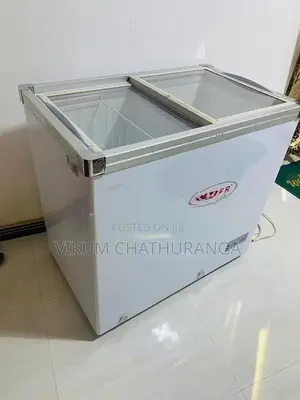 Singer Deep Freezer