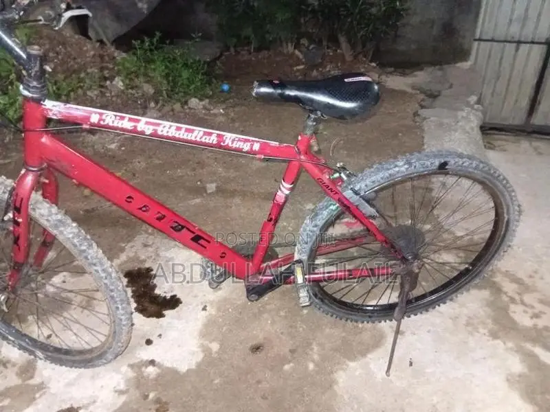 Shimano Bicycle