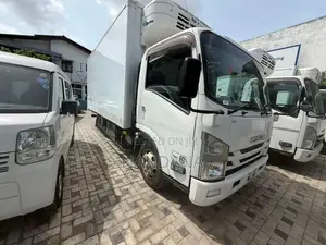 Isuzu Elf Freezer 16.5 2018