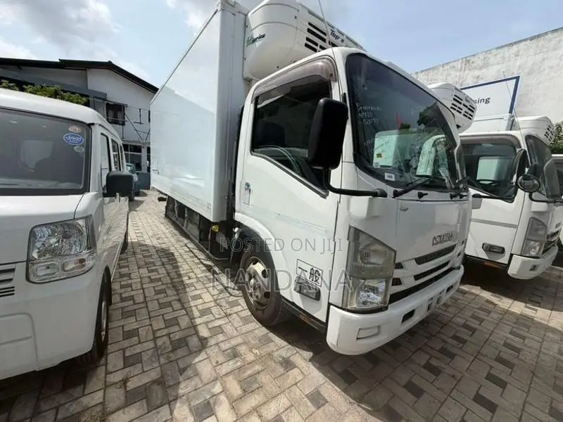 Isuzu Elf Freezer 16.5 2018