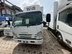 Isuzu Elf Freezer 16.5 2018