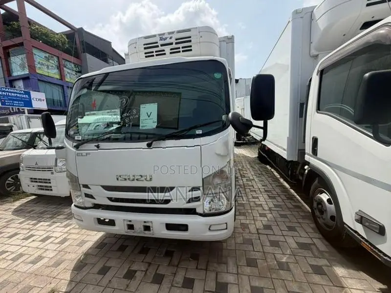 Isuzu Elf Freezer 16.5 2018