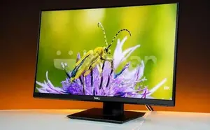 Samsung 24" Inch Full HD IPS Frameless HDMI Gaming Used Monitor
