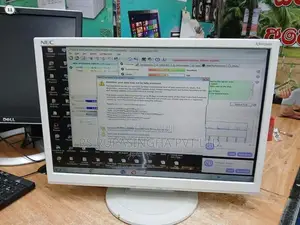 Nec 19" Monitor