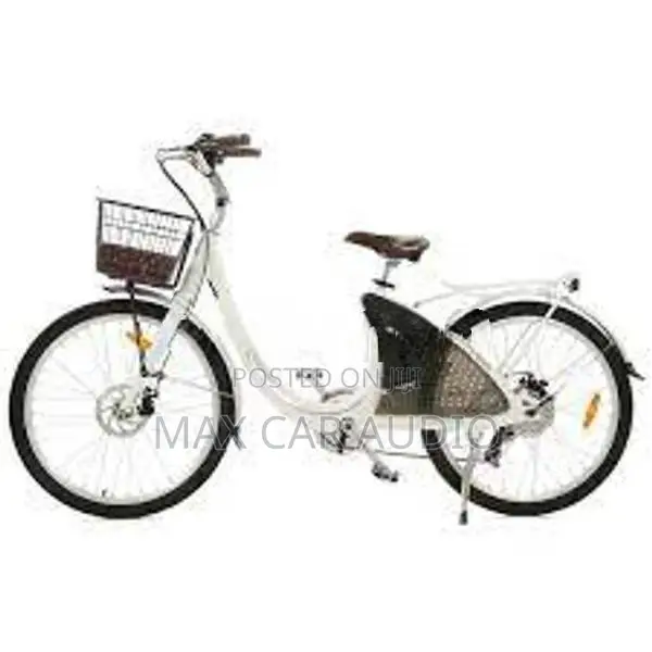 japan Panasonic E Bike